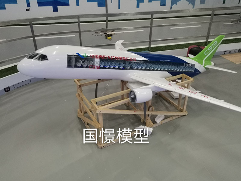 颍上县飞机模型